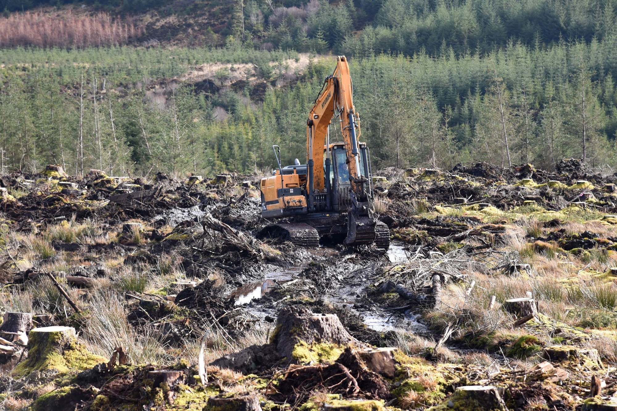 Carron Valley Plant chooses Hyundai High-Walkers for tough forestry tasks